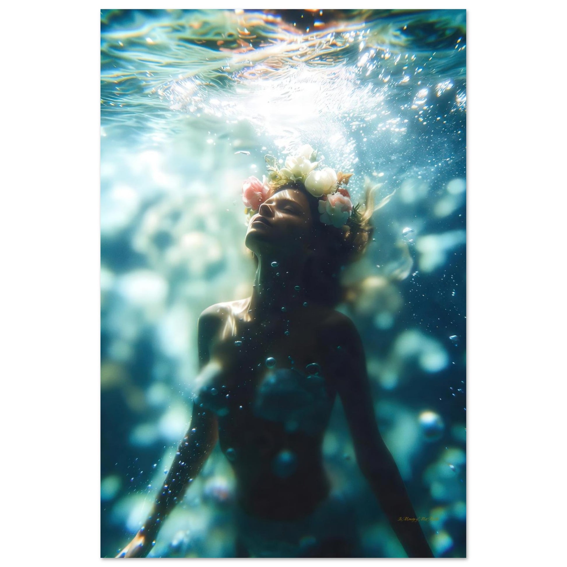 5e9b010d-a177-45bf-9f81-a826003e55af