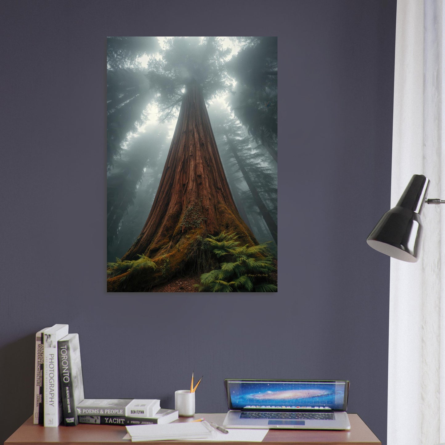 baeb6db8-99d9-473d-a65d-c357d96f9da6